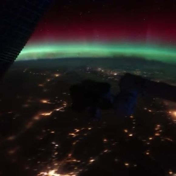 Meet your Posher, Travis - Picture 1 of 1